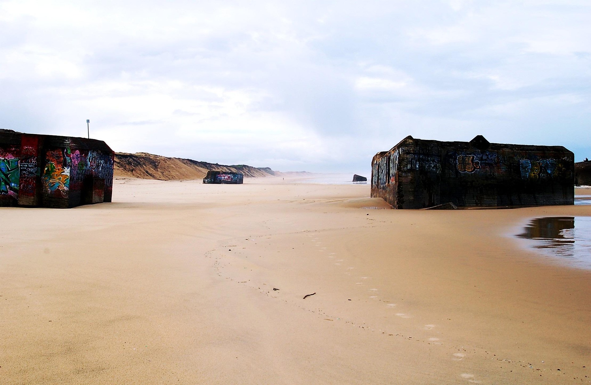 Exterminateur de Puces à Capbreton et Hossegor plage de capbreton